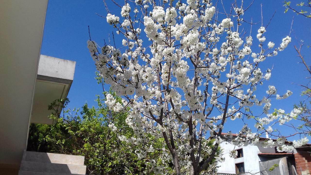 Apartments Vladimir Agios Nikolaos  Exterior photo
